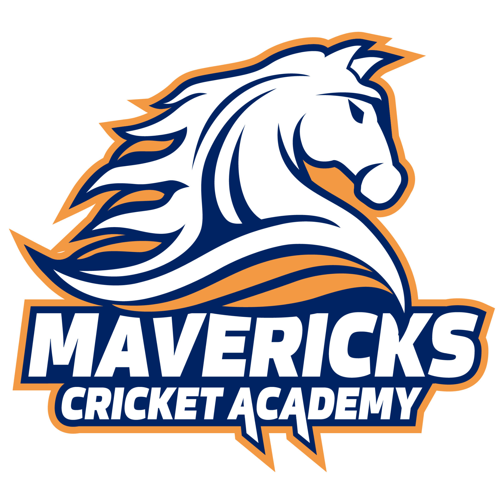 Mavericks Cricket Academy logo